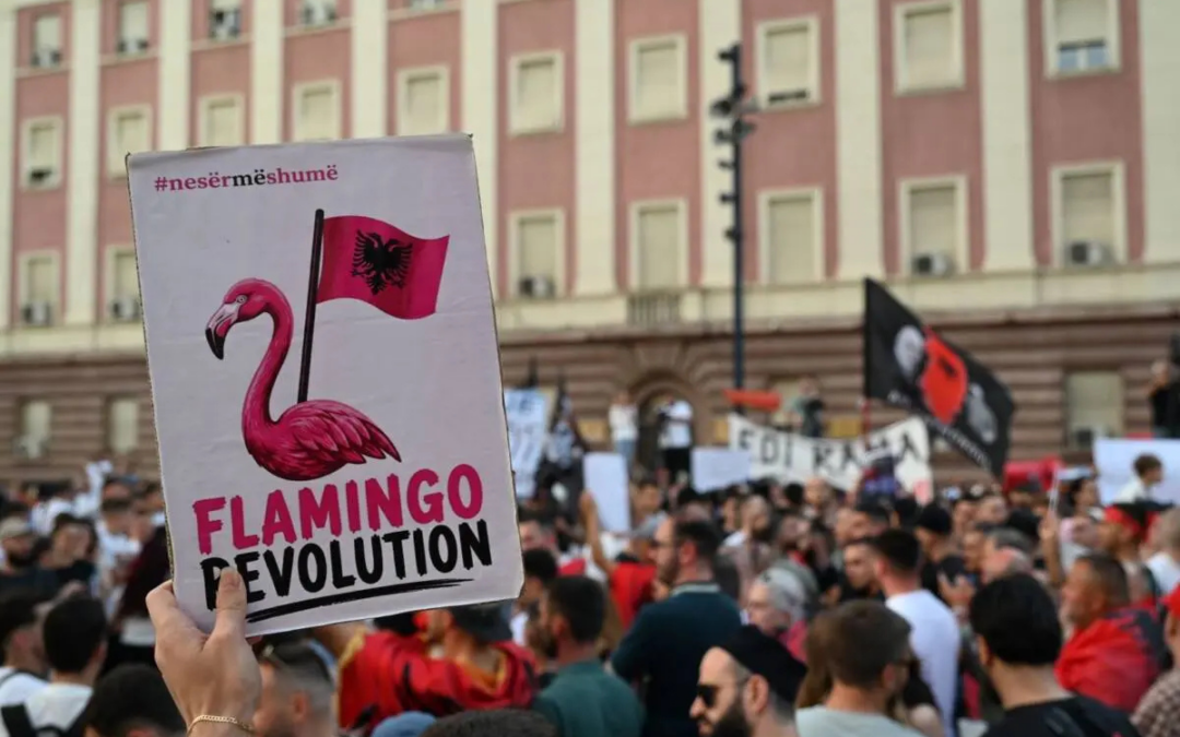 Beteja për territorin shqiptar : çfarë zbulon « Revolucioni i flamingove »