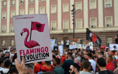 Bataille pour le territoire albanais: ce que révèle la « Révolution des flamants roses »